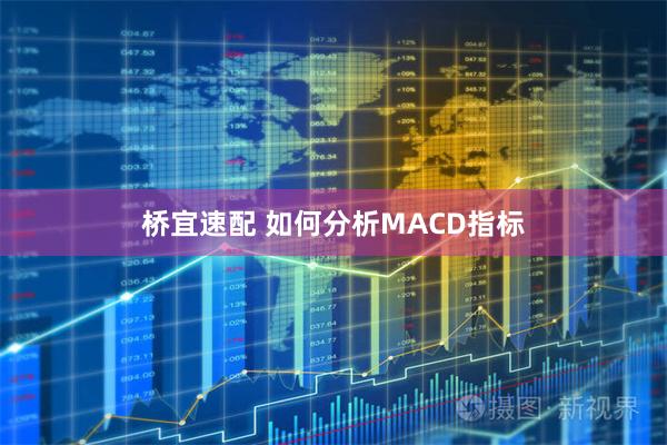 桥宜速配 如何分析MACD指标
