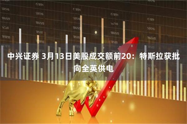 中兴证券 3月13日美股成交额前20：特斯拉获批向全英供电
