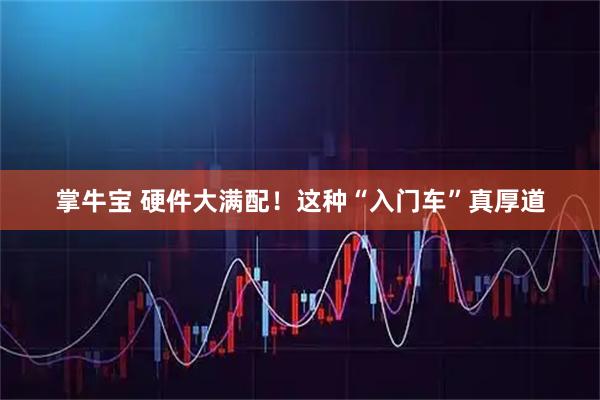 掌牛宝 硬件大满配！这种“入门车”真厚道