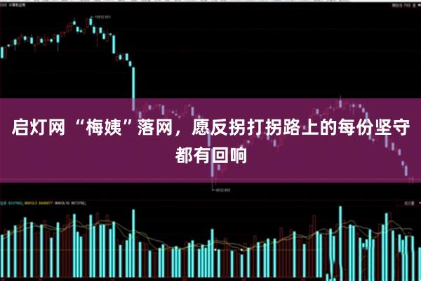 启灯网 “梅姨”落网，愿反拐打拐路上的每份坚守都有回响