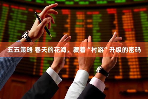 五五策略 春天的花海，藏着“村游”升级的密码