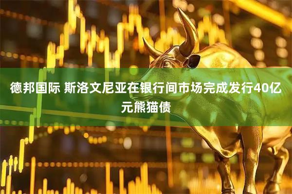 德邦国际 斯洛文尼亚在银行间市场完成发行40亿元熊猫债