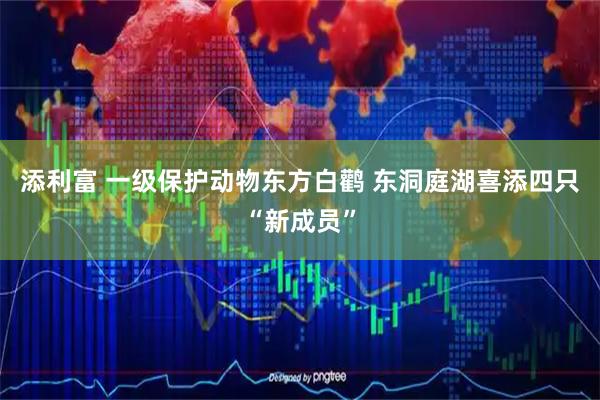添利富 一级保护动物东方白鹳 东洞庭湖喜添四只“新成员”