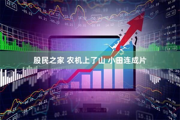 股民之家 农机上了山 小田连成片