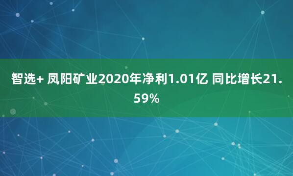 智选+ 凤阳矿业2020年净利1.01亿 同比增长21.59%