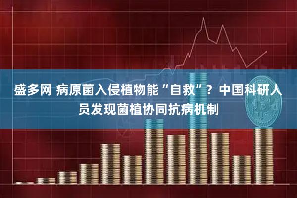 盛多网 病原菌入侵植物能“自救”？中国科研人员发现菌植协同抗病机制