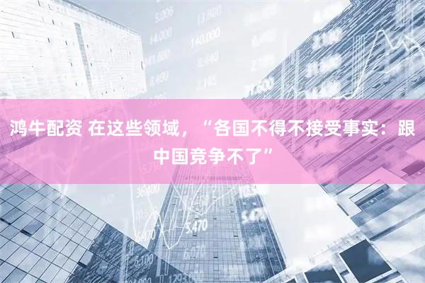 鸿牛配资 在这些领域，“各国不得不接受事实：跟中国竞争不了”