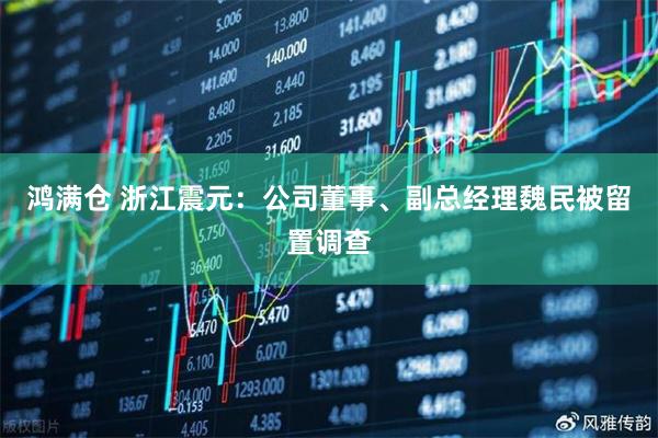 鸿满仓 浙江震元：公司董事、副总经理魏民被留置调查