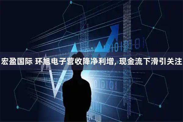 宏盈国际 环旭电子营收降净利增, 现金流下滑引关注