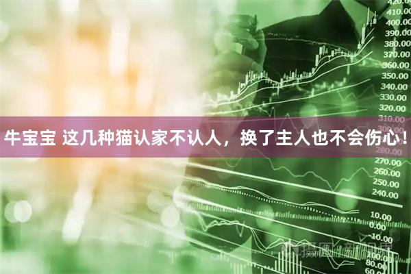 牛宝宝 这几种猫认家不认人，换了主人也不会伤心！