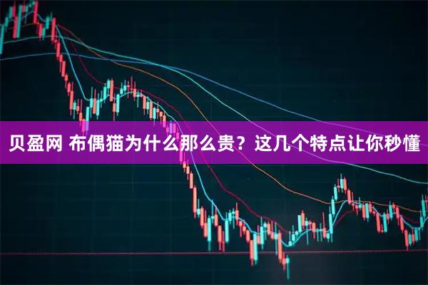 贝盈网 布偶猫为什么那么贵？这几个特点让你秒懂