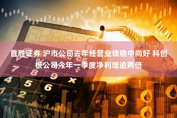 首胜证券 沪市公司去年经营业绩稳中向好 科创板公司今年一季度净利增逾两倍