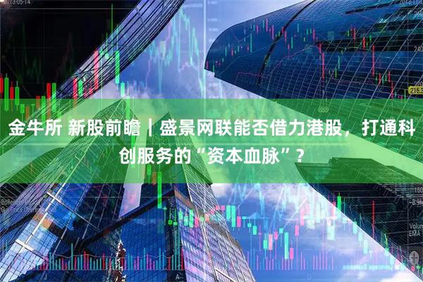 金牛所 新股前瞻｜盛景网联能否借力港股，打通科创服务的“资本血脉”？