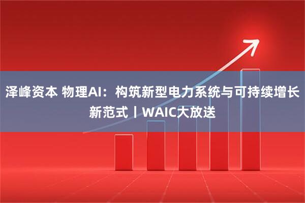 泽峰资本 物理AI：构筑新型电力系统与可持续增长新范式丨WAIC大放送