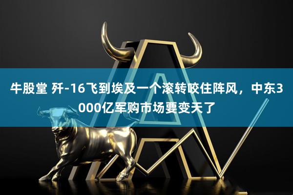 牛股堂 歼-16飞到埃及一个滚转咬住阵风，中东3000亿军购市场要变天了