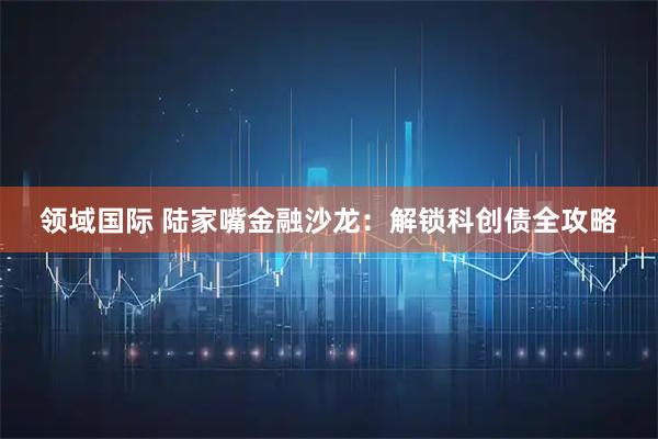 领域国际 陆家嘴金融沙龙:解锁科创债全攻略
